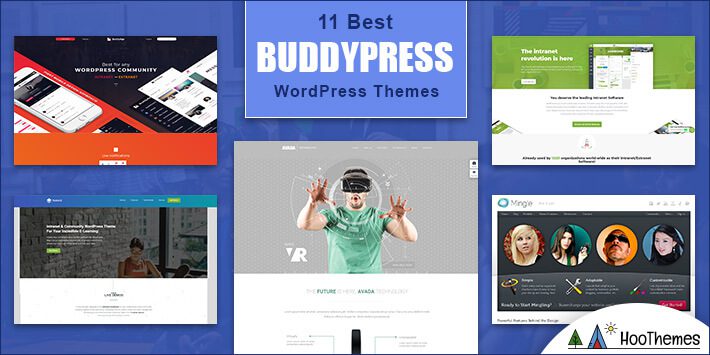 WordPress BuddyPress Themes