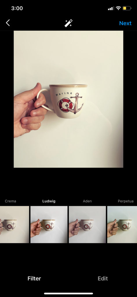 Best Instagram Filter for Posts #4: Ludwig